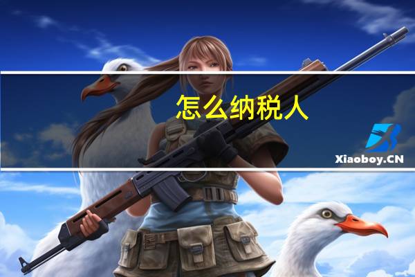 怎么纳税人