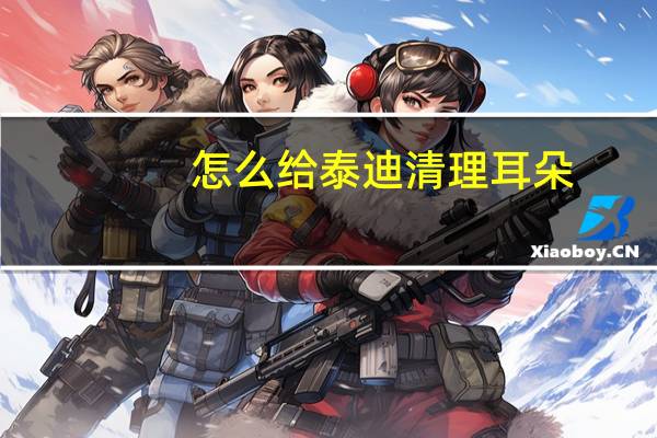 怎么给泰迪清理耳朵