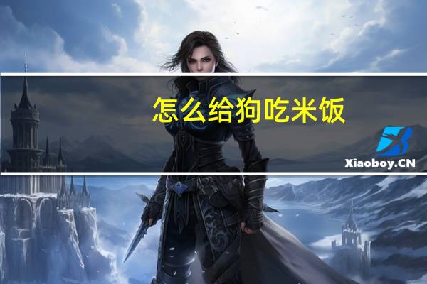 怎么给狗吃米饭