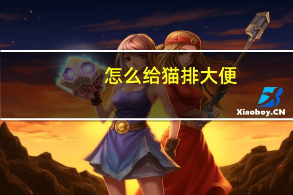 怎么给猫排大便