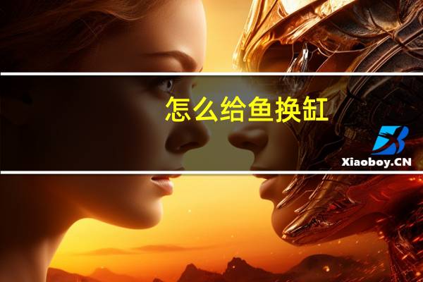 怎么给鱼换缸