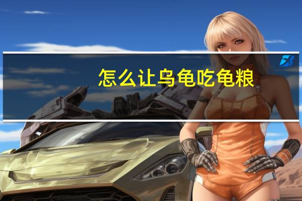 怎么让乌龟吃龟粮