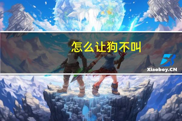 怎么让狗不叫