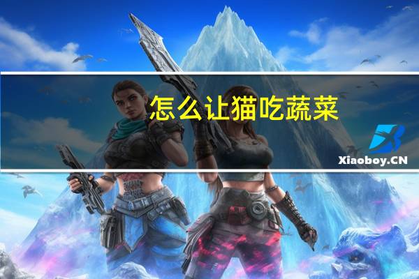 怎么让猫吃蔬菜