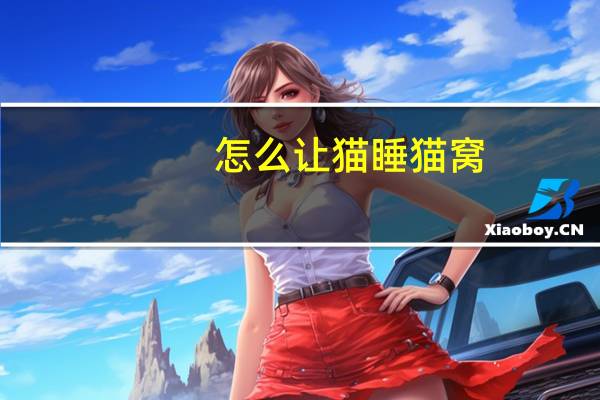 怎么让猫睡猫窝