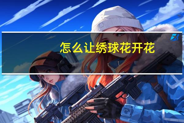 怎么让绣球花开花
