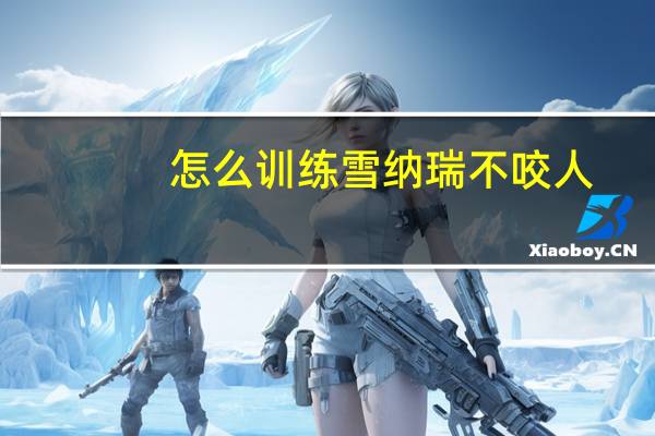 怎么训练雪纳瑞不咬人