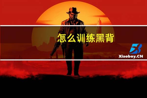 怎么训练黑背