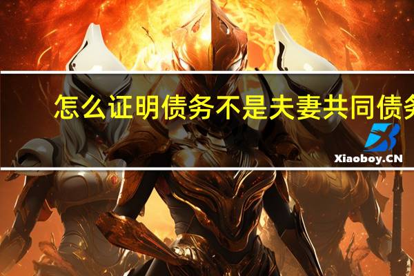 怎么证明债务不是夫妻共同债务