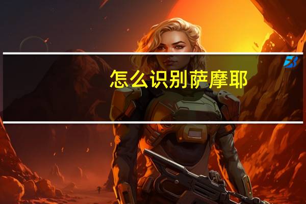 怎么识别萨摩耶