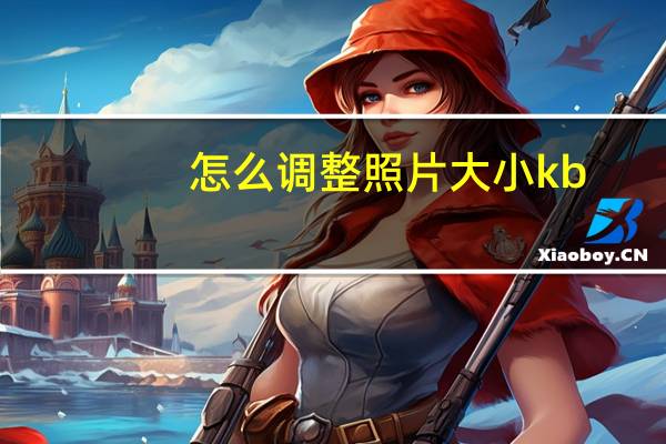 怎么调整照片大小kb