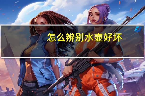 怎么辨别水壶好坏