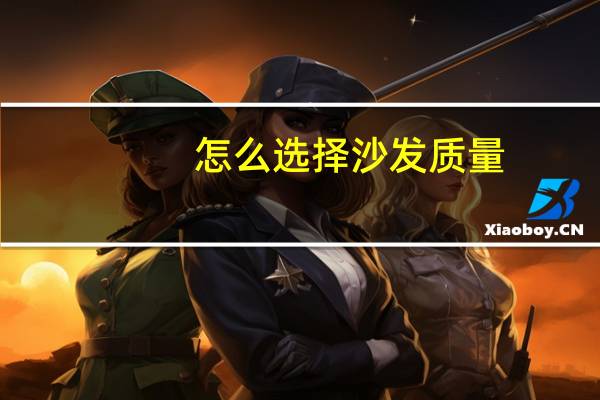 怎么选择沙发质量