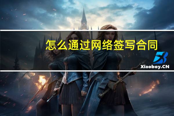 怎么通过网络签写合同