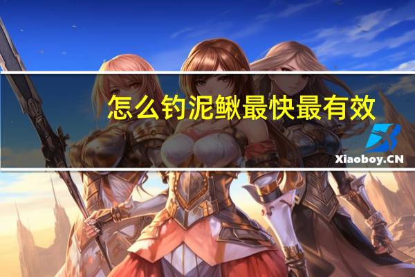 怎么钓泥鳅最快最有效