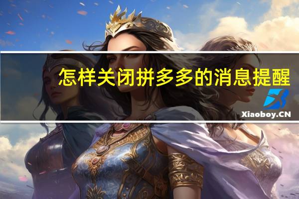 怎样关闭拼多多的消息提醒