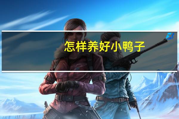 怎样养好小鸭子