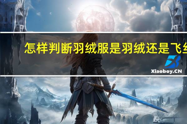 怎样判断羽绒服是羽绒还是飞丝