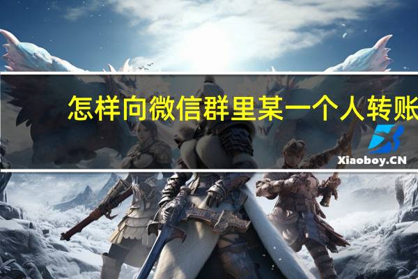 怎样向微信群里某一个人转账
