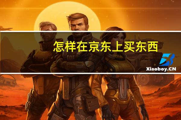 怎样在京东上买东西