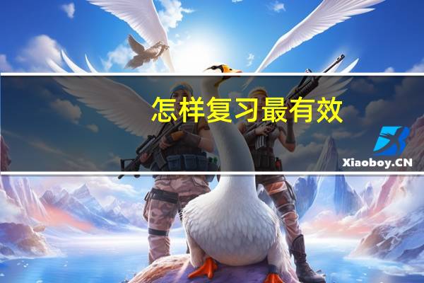 怎样复习最有效