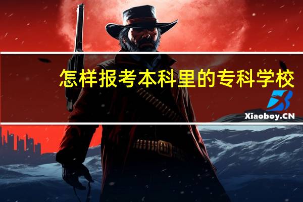 怎样报考本科里的专科学校