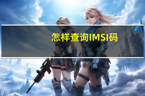 怎样查询IMSI码