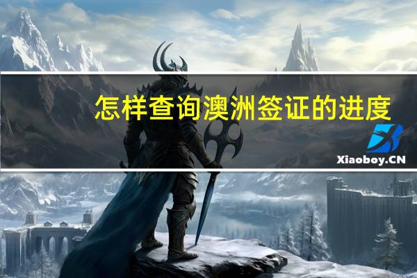 怎样查询澳洲签证的进度(澳大利亚签证怎么查询进度查询)