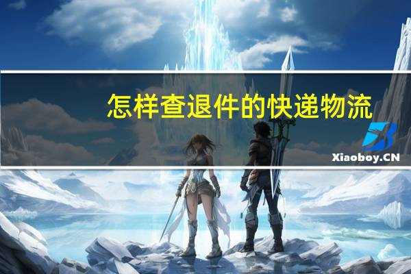怎样查退件的快递物流