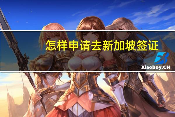 怎样申请去新加坡签证？