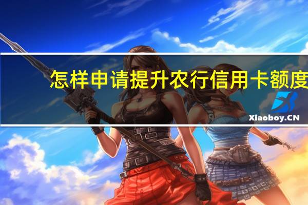 怎样申请提升农行信用卡额度