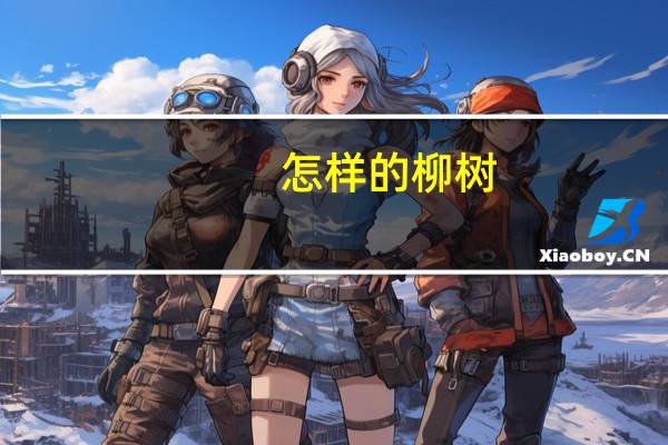 怎样的柳树
