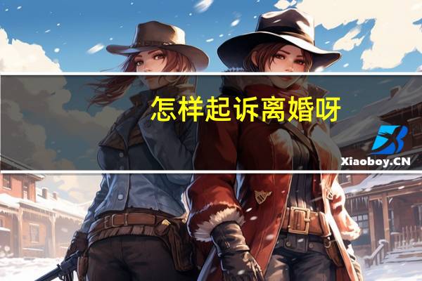 怎样起诉离婚呀