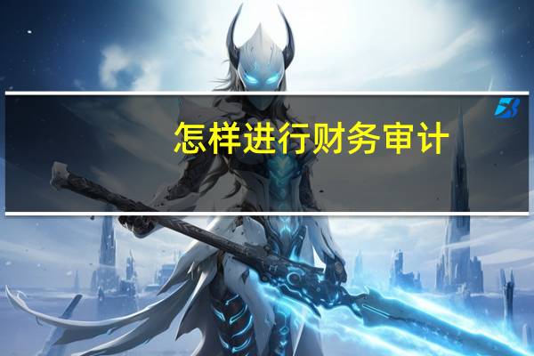 怎样进行财务审计