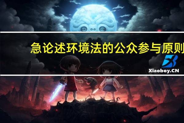急论述环境法的公众参与原则