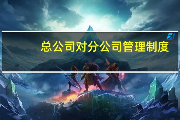 总公司对分公司管理制度