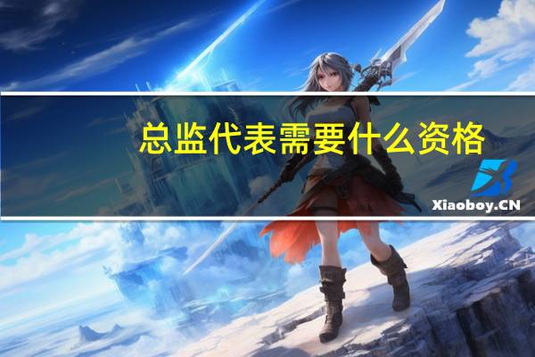 总监代表需要什么资格