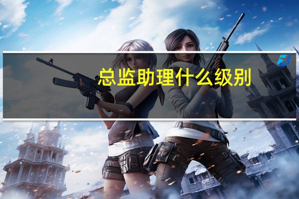 总监助理什么级别