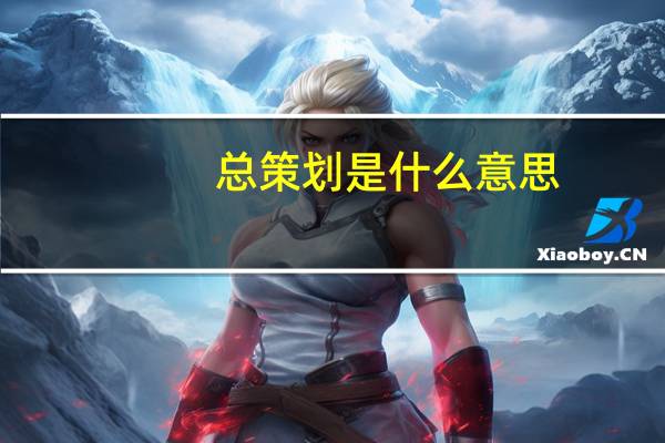 总策划是什么意思