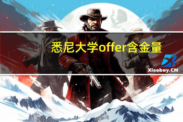 悉尼大学offer含金量