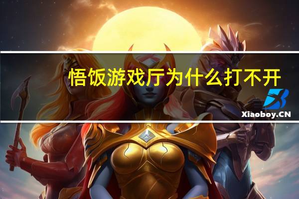 悟饭游戏厅为什么打不开