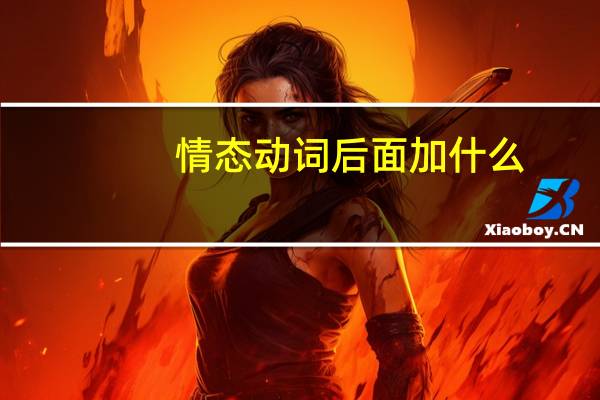 情态动词后面加什么