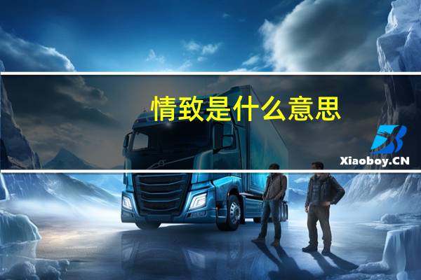 情致是什么意思