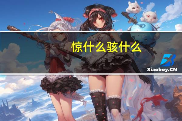 惊什么骇什么