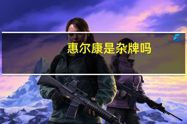 惠尔康是杂牌吗