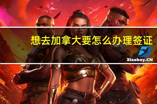 想去加拿大要怎么办理签证