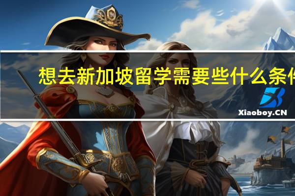 想去新加坡留学需要些什么条件