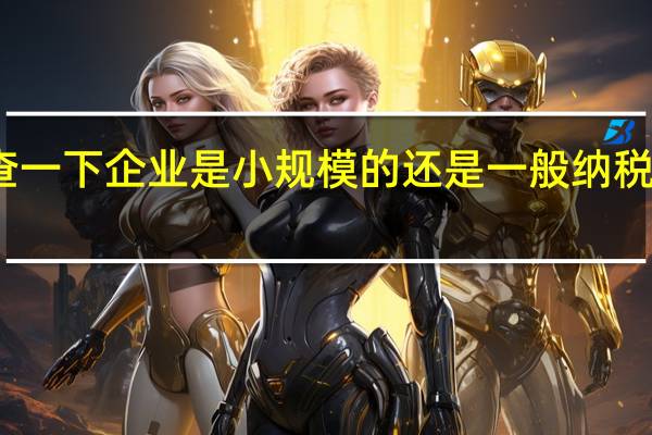 想查一下企业是小规模的还是一般纳税人怎么查