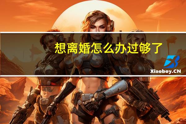 想离婚怎么办过够了
