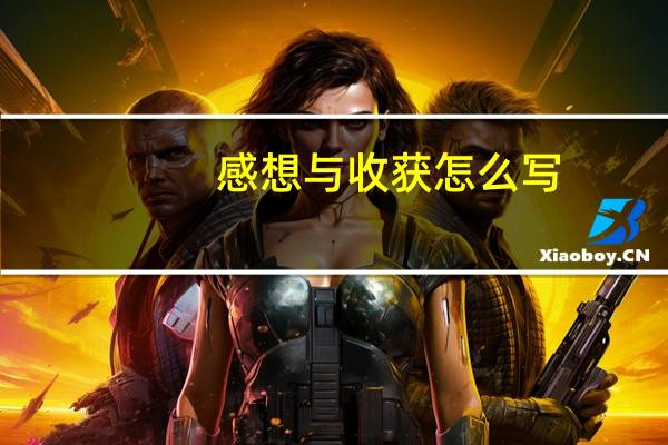 感想与收获怎么写